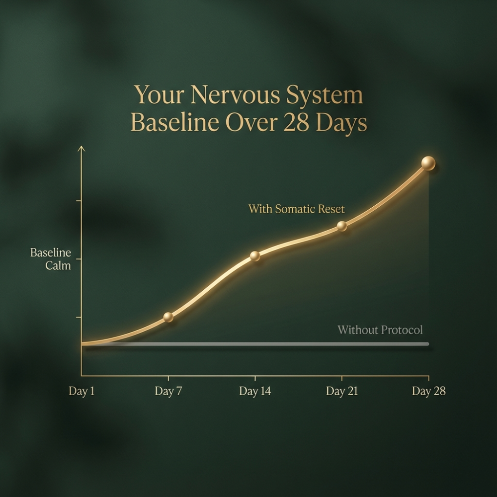 The Somatic Reset Kit